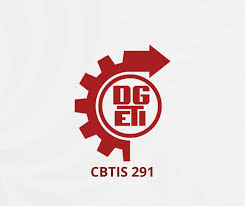 CBTIS 291